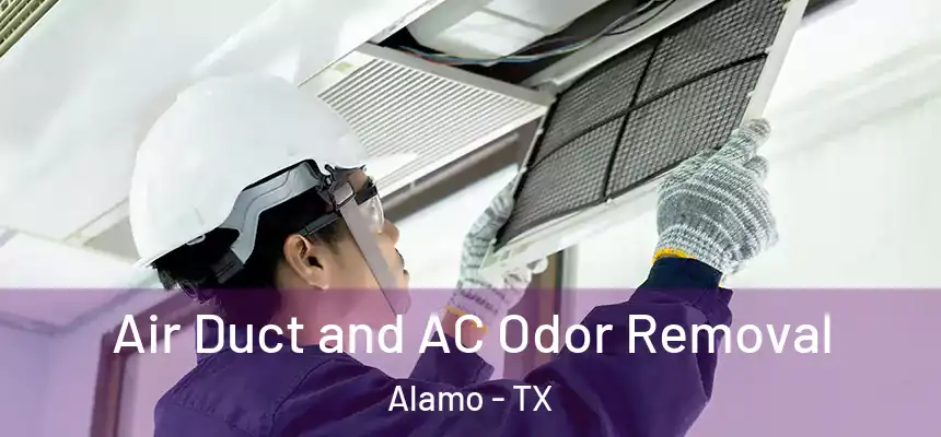  Air Duct and AC Odor Removal Alamo - TX