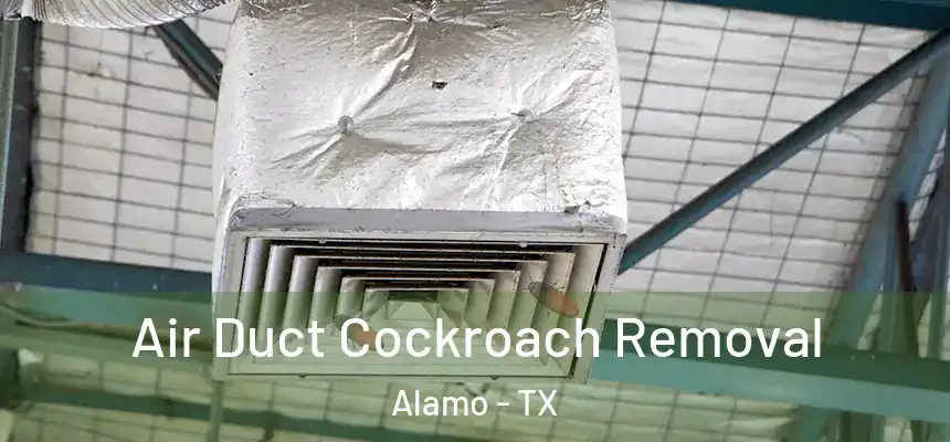  Air Duct Cockroach Removal Alamo - TX