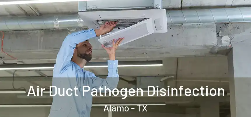  Air Duct Pathogen Disinfection Alamo - TX