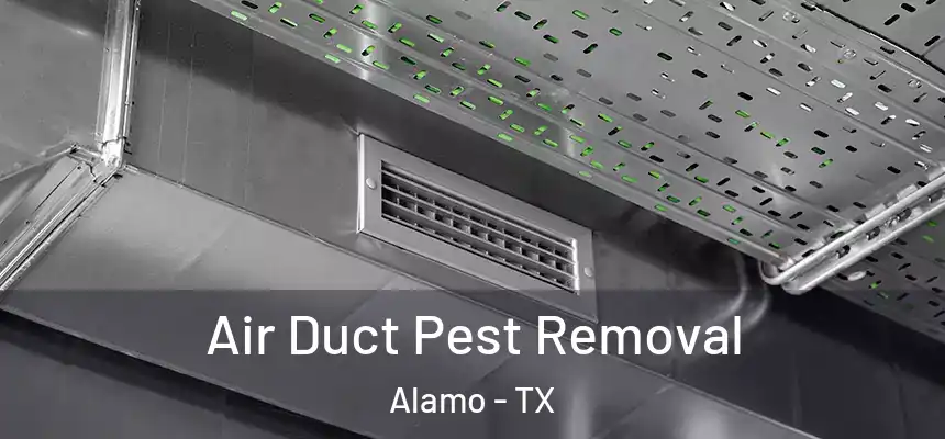  Air Duct Pest Removal Alamo - TX