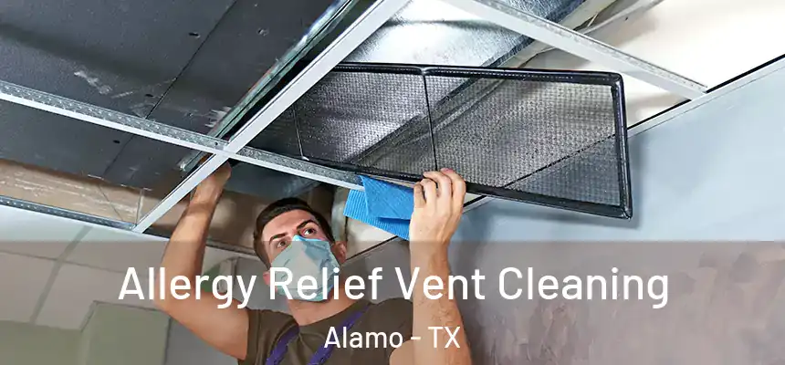  Allergy Relief Vent Cleaning Alamo - TX