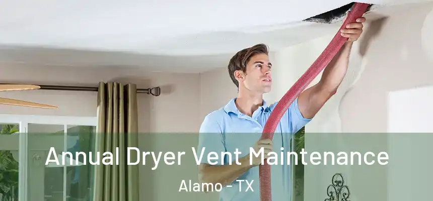  Annual Dryer Vent Maintenance Alamo - TX