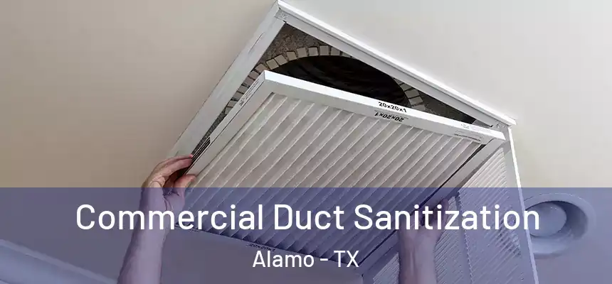  Commercial Duct Sanitization Alamo - TX