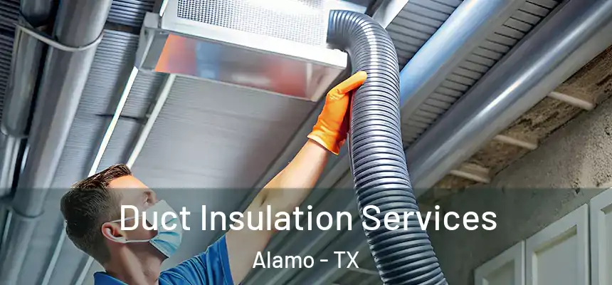  Duct Insulation Services Alamo - TX