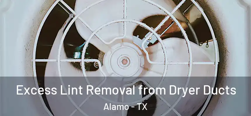  Excess Lint Removal from Dryer Ducts Alamo - TX