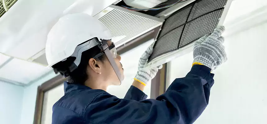 Our Mold & Mildew Removal from Air Ducts Services in Alamo, TX