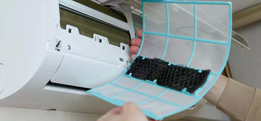 Gentle Ductwork Odor-Control Pet Dander Duct Cleaning in Alamo, TX