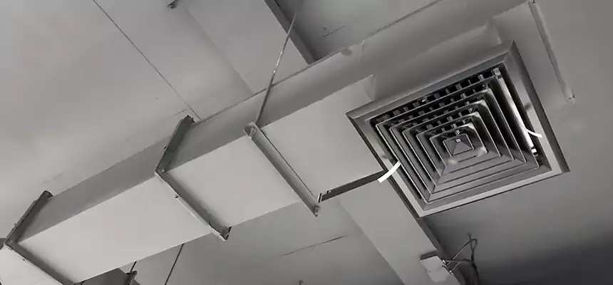 Our Rodent Droppings In Vents Services in Alamo, TX