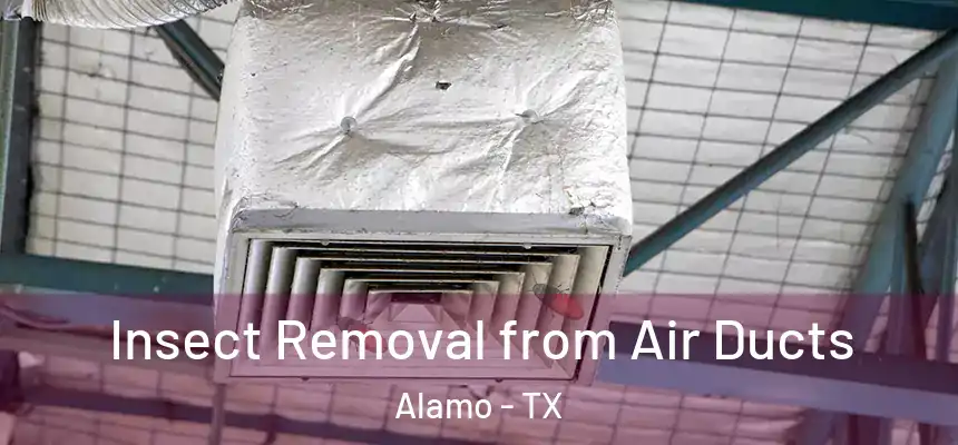  Insect Removal from Air Ducts Alamo - TX