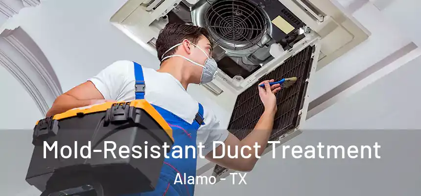  Mold-Resistant Duct Treatment Alamo - TX