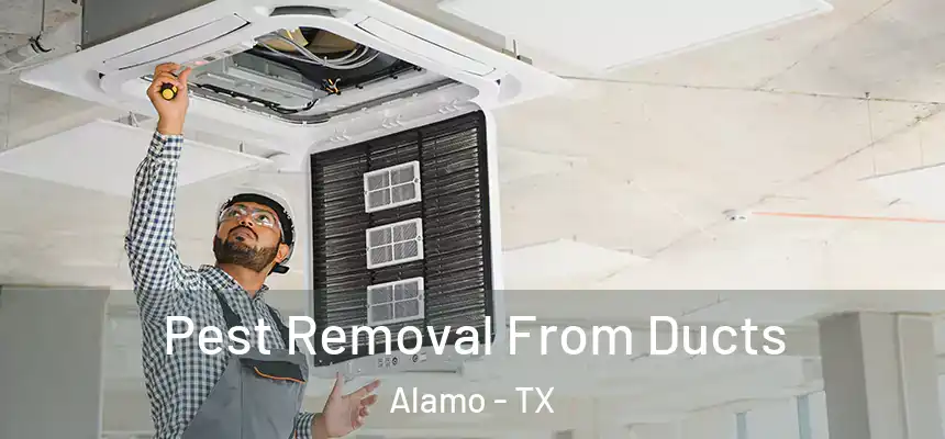  Pest Removal From Ducts Alamo - TX