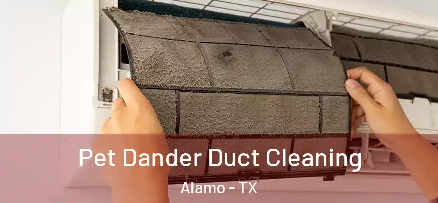  Pet Dander Duct Cleaning Alamo - TX