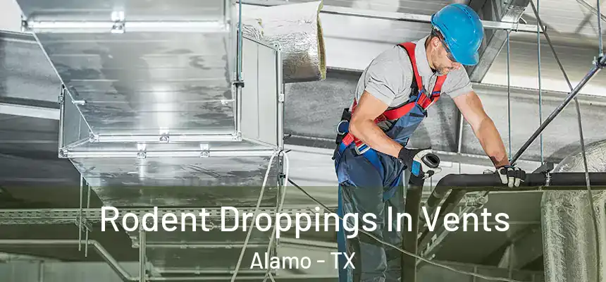  Rodent Droppings In Vents Alamo - TX