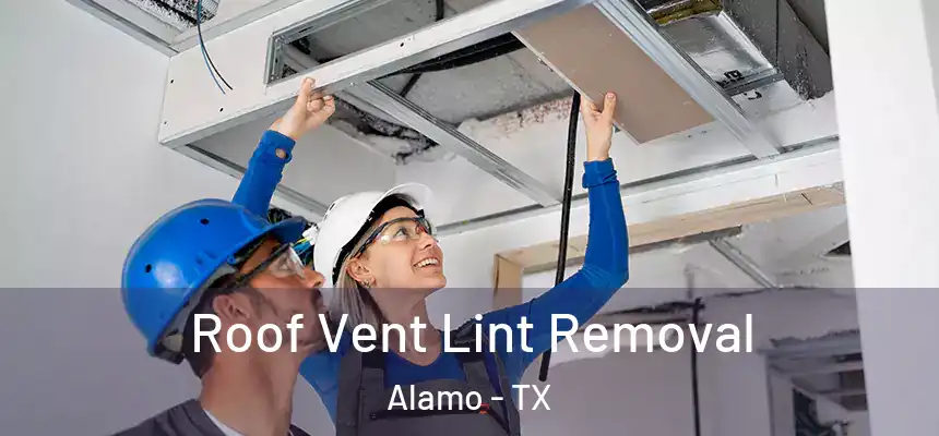  Roof Vent Lint Removal Alamo - TX