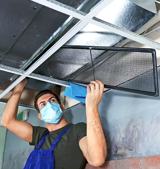 About Air Duct Bacteria Removal in Alamo