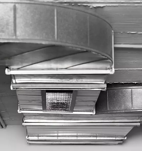 Professional Air Duct Pest Removal in Alamo, TX