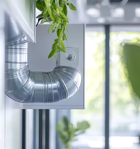 Professional Eco-Safe Dryer Vent Cleaning in Alamo, TX