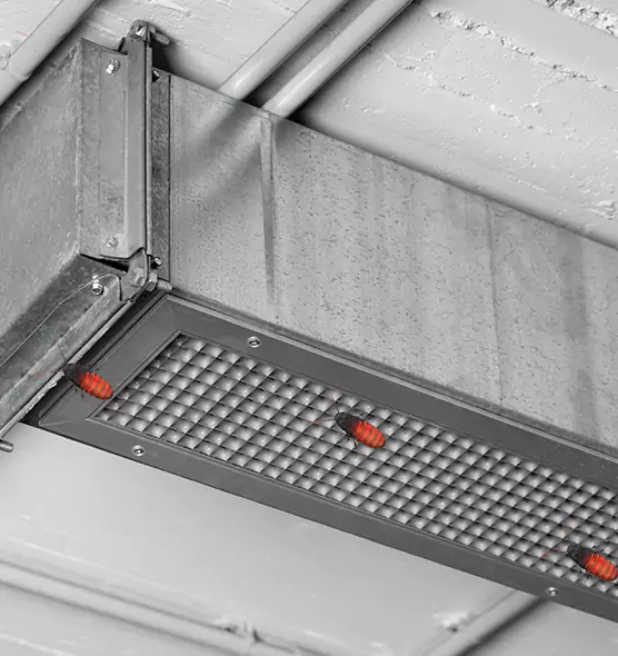 Affordable Insect Removal from Air Ducts in Alamo, TX