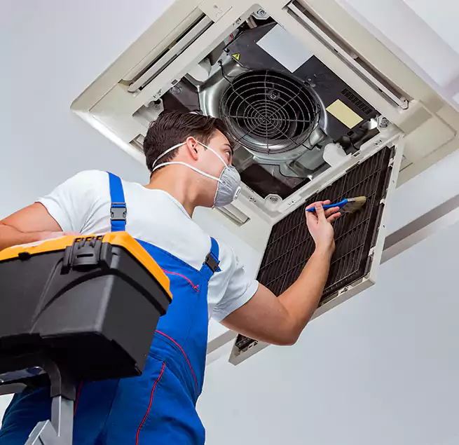 Why Homeowners & Businesses Trust Us in Alamo, TX