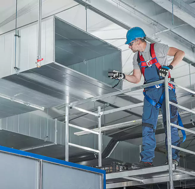 Why Homeowners Businesses Trust Us in Alamo, TX