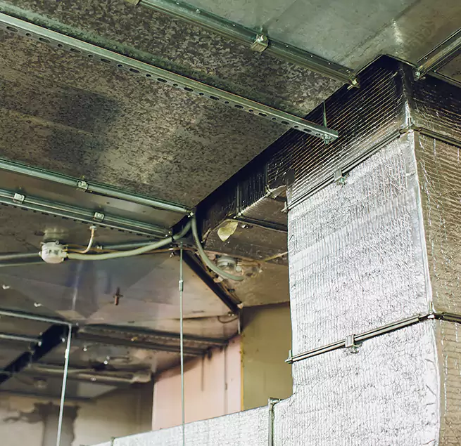 Why Homeowners & Businesses Trust Us in Alamo, TX?