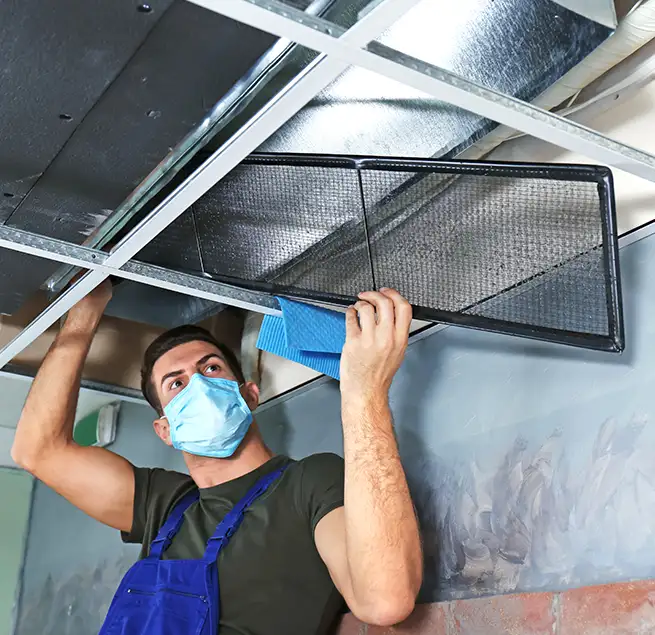 Why Homeowners & Businesses Trust Us in Alamo, TX?