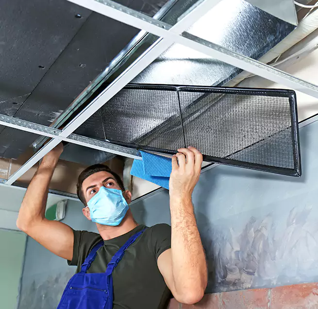 Why Homeowners & Businesses Trust Us in Alamo, TX?