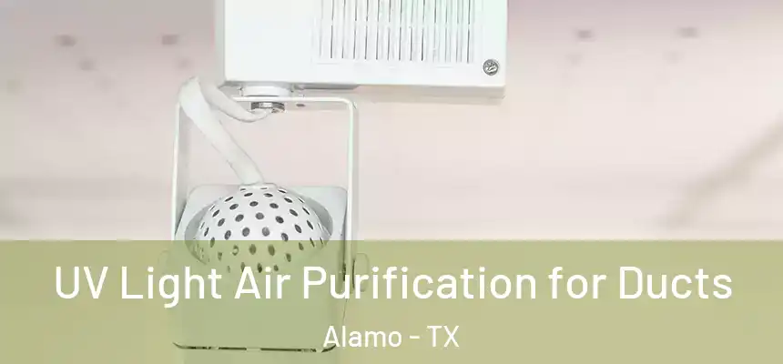  UV Light Air Purification for Ducts Alamo - TX